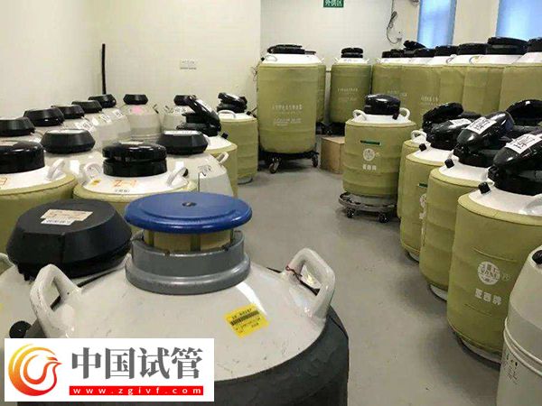 做供精試管可否自行選擇相貌(圖2)