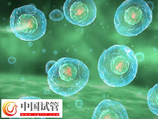 申請供精試管可以生育幾胎(圖2)