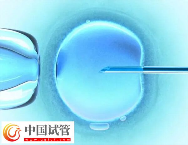 三代試管可不可以單精子注射(圖1)