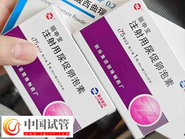 肥胖人群做試管為何要減肥(圖1)