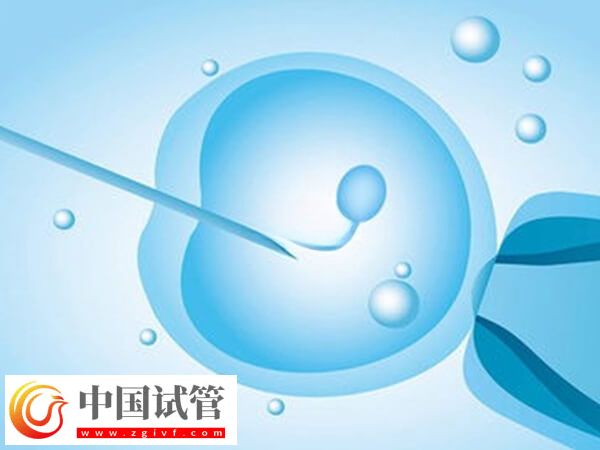 試管失敗是不是等于流產(圖1)