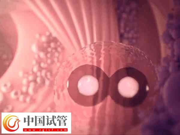 試管失敗是不是等于流產(圖2)