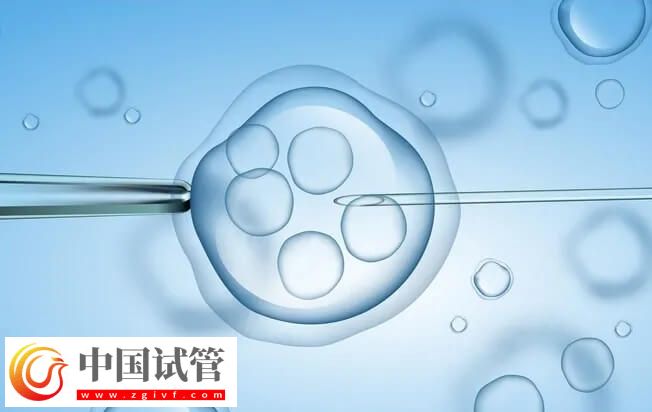 凍胚移植失敗了是不是質(zhì)量不好(圖1)