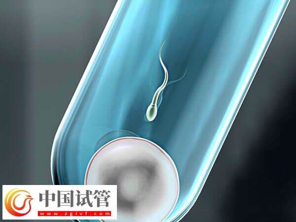 什么會影響試管嬰兒成功率(圖2)