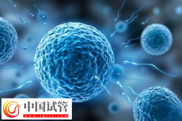 國外試管嬰兒技術成不成熟(圖2)