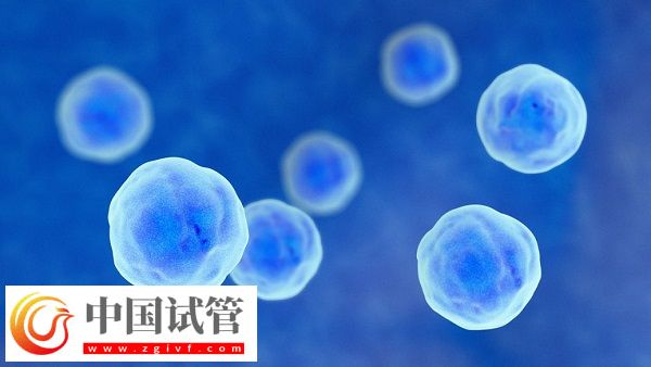 去泰國(guó)做試管有沒(méi)有受騙的(圖1)