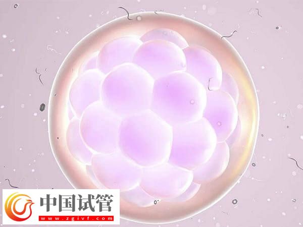 三代試管PGD技術(shù)檢測是否必須養(yǎng)囊(圖1)