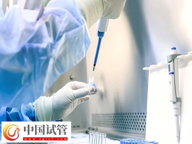 取卵后一個月卵巢是否恢復(fù)了(圖1)