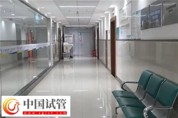 衢州本地醫(yī)院做一次三代試管嬰兒費(fèi)用大約多少？(圖1)