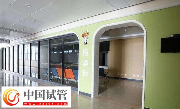 衢州婦保院陳潔瑛和方玉醫(yī)生哪個助孕成功率更高？(圖1)