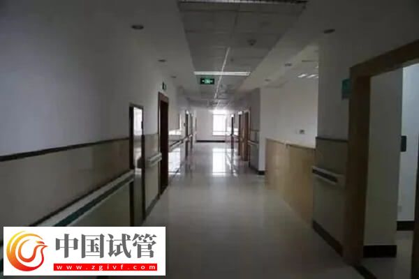衢州公立試管醫院中成功率排名第一的是哪家？(圖1)