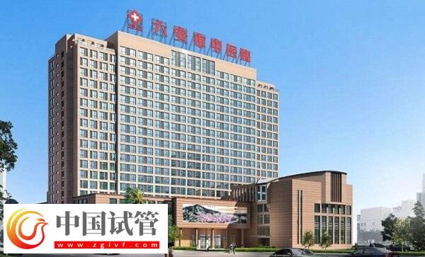 六安公立醫(yī)院做一次供卵試管嬰兒要多少錢？(圖1)