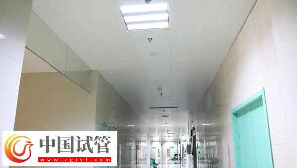 六安中醫院生殖科人工授精成功率怎么樣？十個成功幾個？(圖1)