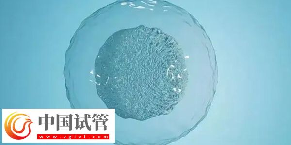 延吉市中醫(yī)醫(yī)院供精試管嬰兒成功率怎么樣？(圖1)
