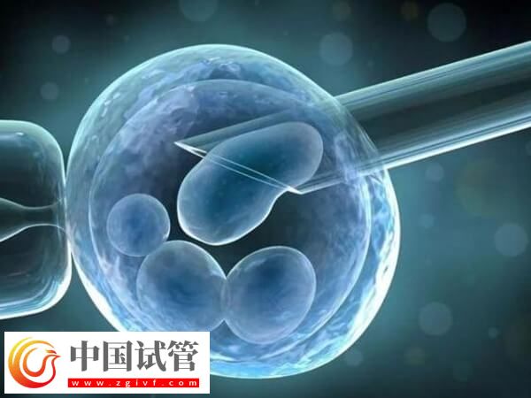 延吉市公立醫(yī)院做試管嬰兒要多少錢？(圖1)