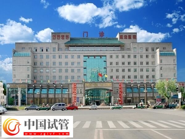 延邊醫院做一次二代試管嬰兒助孕要準備多少錢？(圖1)