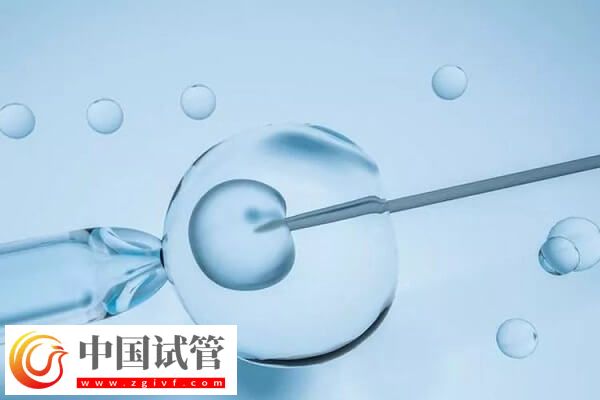 試管移植1個(gè)還是2個(gè)好(圖1)