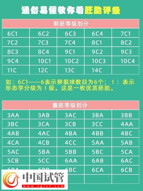 試管嬰兒寄存的合理期限探討(圖1) 試管嬰兒寄存的合理期限探討(圖1)