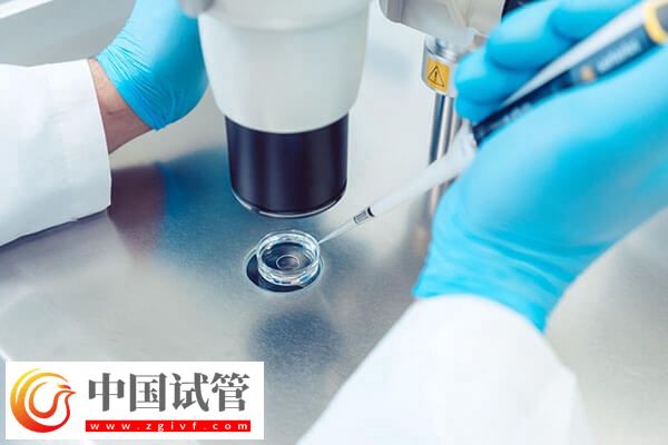 試管嬰兒哪個(gè)步驟最疼(圖2)
