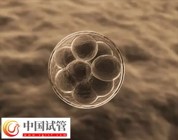 試管移植后雌二醇高孕酮低會(huì)不會(huì)影響著床(圖1)