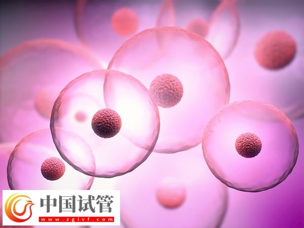 南寧試管嬰兒費(fèi)用大概要多少錢(圖1)