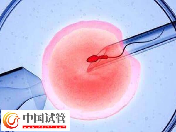 欽州婦幼試管嬰兒需要多少錢？(圖2)