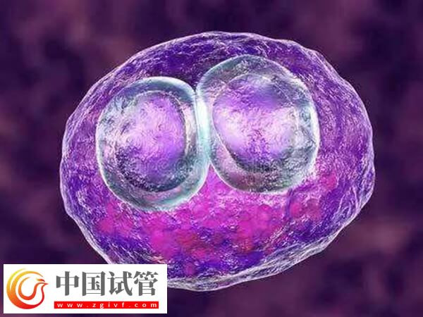 促排當(dāng)月就移植入子宮好不好(圖1)