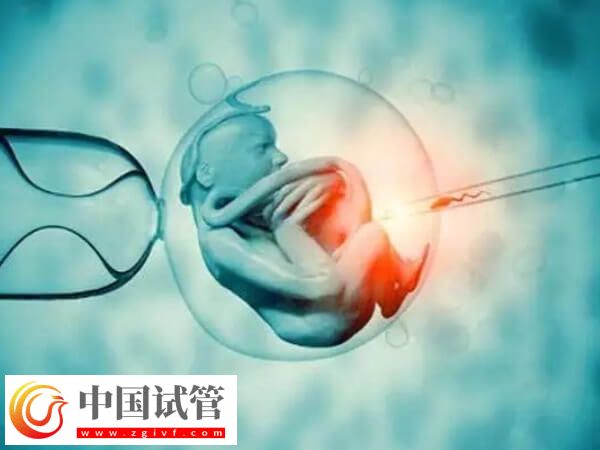澳門(mén)試管成功率高不高(圖1)
