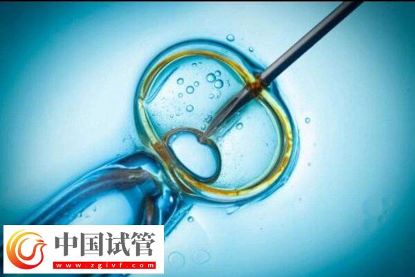 澳門(mén)試管成功率高不高(圖2)