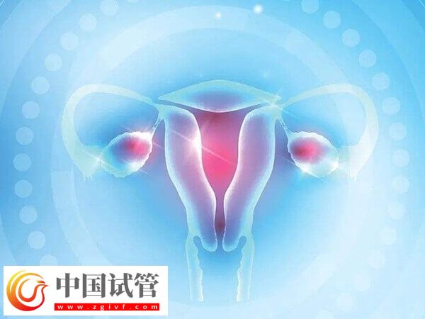 24歲卵巢早衰醫(yī)生說(shuō)不用治怎么回事(圖2)