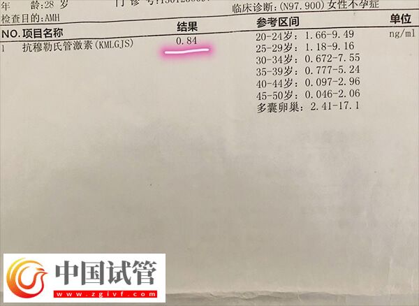 amh低會(huì)不會(huì)有優(yōu)勢(shì)卵泡發(fā)育(圖2)