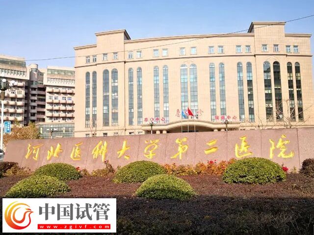 河北醫(yī)科大學第二醫(yī)院能做第三代試管嬰兒嗎？(圖1)