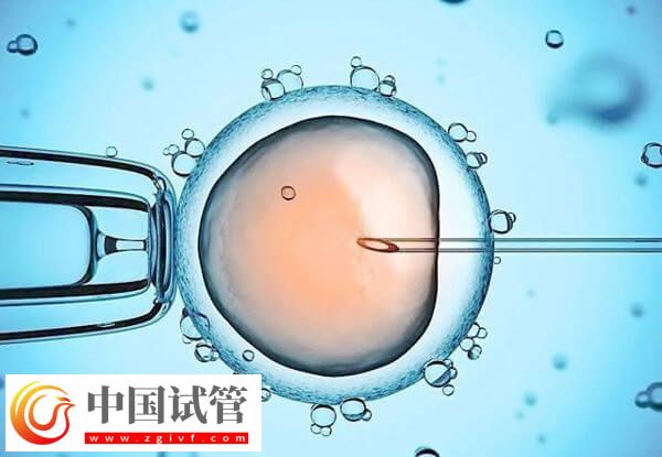 長(zhǎng)沙開(kāi)展輔助生殖技術(shù)醫(yī)院中助孕成功率高的有哪些？(圖2)