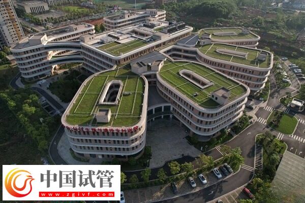 在湖南哪些醫(yī)院可以做三代試管嬰兒技術(shù)？(圖1)