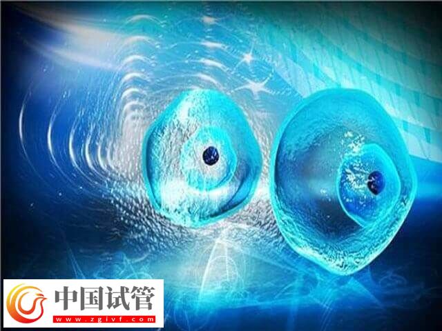 取卵費用和取卵個數有沒有關(圖1)