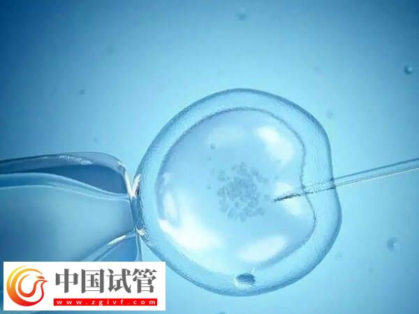 取卵后精卵不結(jié)合該怎么辦(圖2)