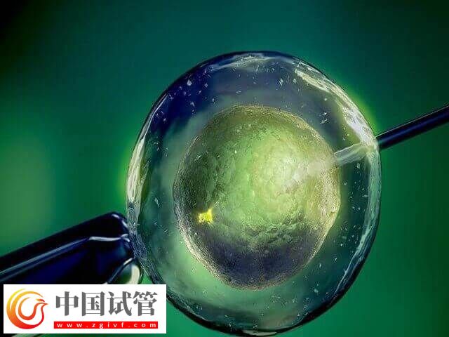 人工周期有卵泡是不是就不能移植了(圖2)