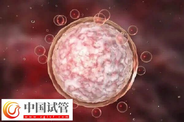 達(dá)菲林降調(diào)成功卵泡是多大(圖2)