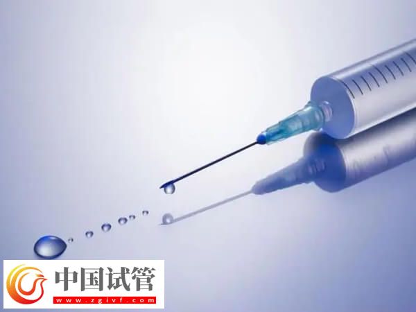 試管促排哪個方案最便宜(圖2)