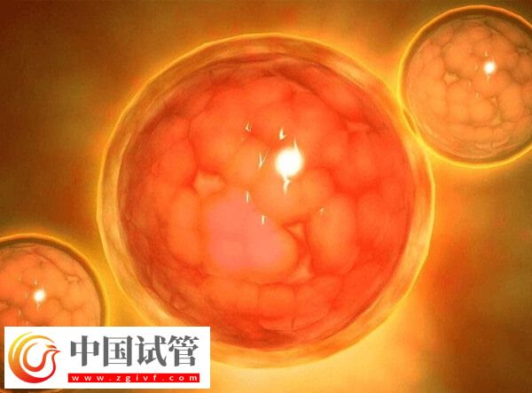 試管移植第三天出血是不是著床了(圖3)