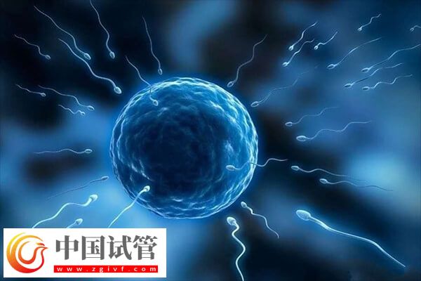 試管移植前幾天打免疫球蛋白(圖1)