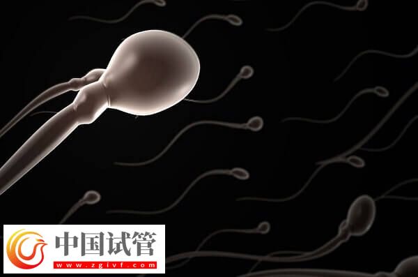 試管嬰兒中用果納芬好不好(圖2)