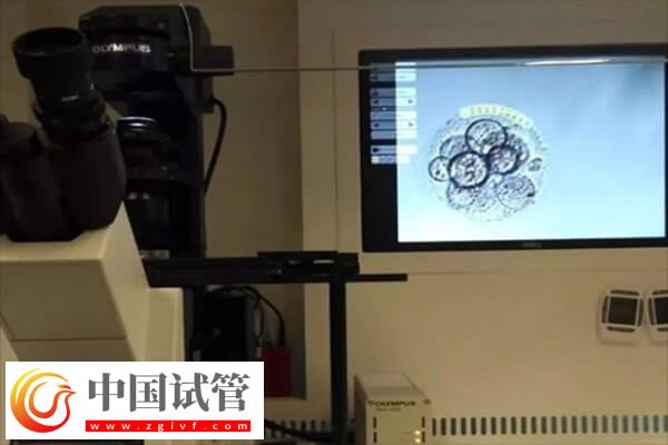 養(yǎng)囊失敗的三大原因是哪些(圖1)