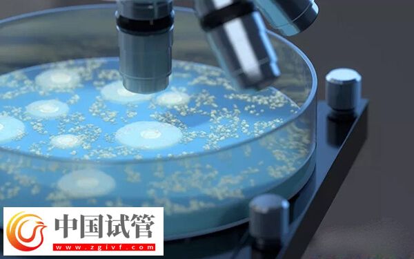 為什么人工周期成功率高(圖1)