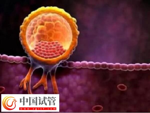 做試管嬰兒子宮內膜厚度多少mm適合移植胚胎？(圖1)