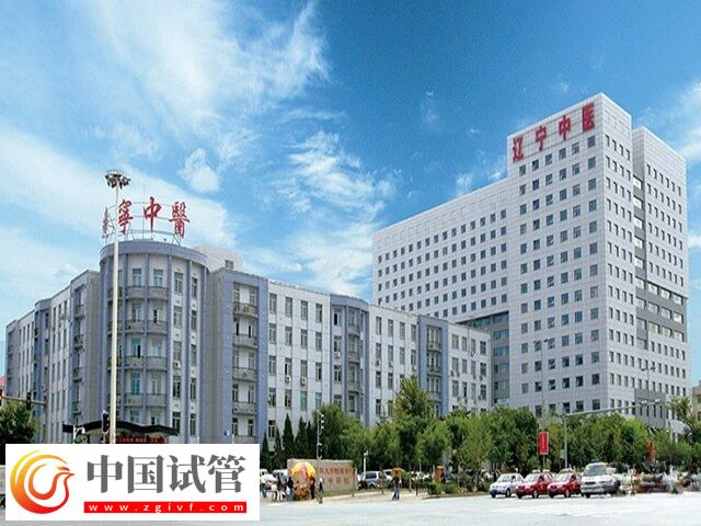 沈陽十大試管醫院有哪些(圖3)