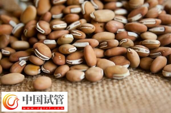 子宮肌瘤女性不能吃的食物有哪些(圖2)