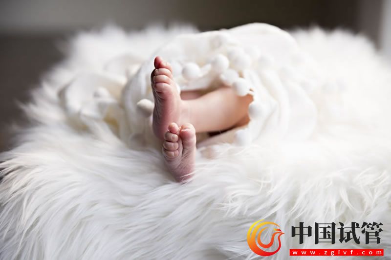 磨丁試管醫院價格揭秘:你需要知道的一切(圖1) 磨丁試管醫院價格揭秘:你需要知道的一切(圖1)